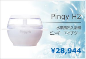 画像1: 水素風呂　ピンギーH2