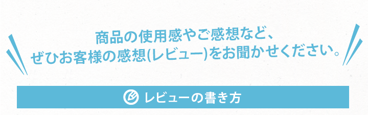 レビューの書き方1