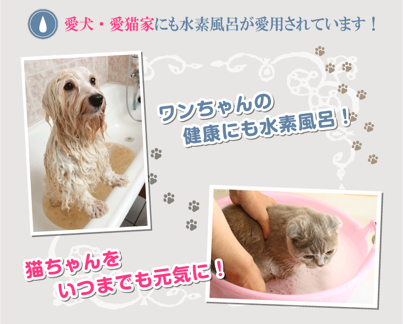 愛犬・猫にも水素入浴がオススメです